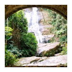 Floresta da Tijuca