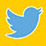 Siga no Twitter